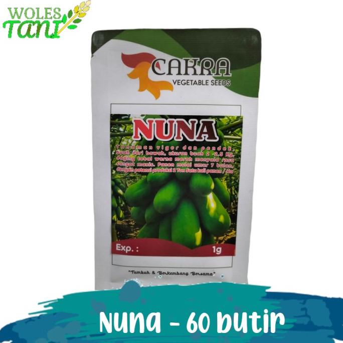 ] Benih Pepaya California Nuna isi 60 Seed