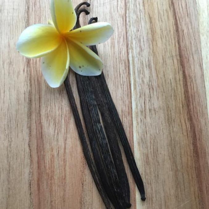 

------] vanili vanila