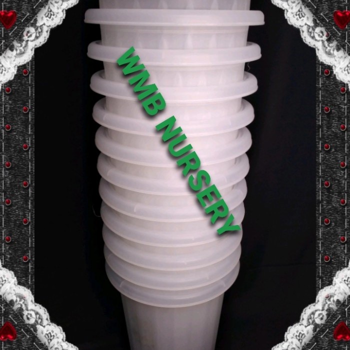 Lusinan. Pot Yogap Ypt 19