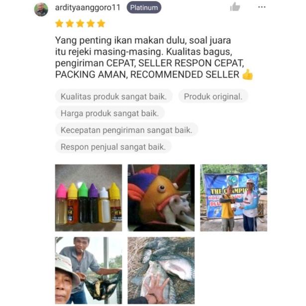 Diskon Essen Nila/Mujair Pandan Jepang/Essen Nila/Essen Nila/Essen Mujair/Esen Mujair/Essen Lomba Ni