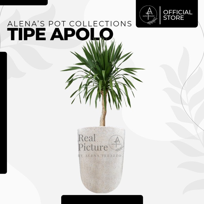 Pot Teraso Mini Malis Pot Tipe Apolo Pot Tanaman Terazzo