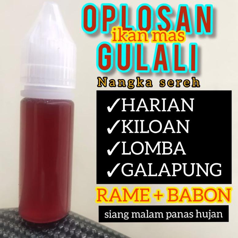 Viral Essen Gulali Ikan Mas / Essen Harian Ikan Mas / Essen Ikan Mas/ Oplosan Ikan Mas / Essen Lomba