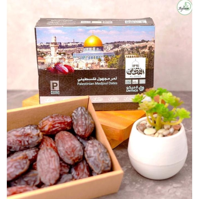 

Kurma Medjoul Palestine Jumbo Premium - Madjol Medjol Palestina 500Gr Lapaklusimarianti