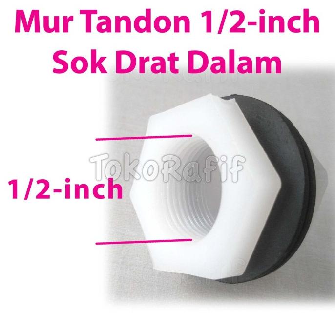 Ready oke] Mur Tandon 1/2-inch-Drat Dalam