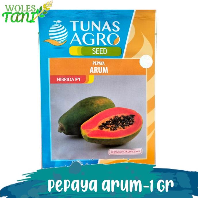 ><><><] Arum 1 Gram Benih Pepaya Hawai Madu Pepaya California
