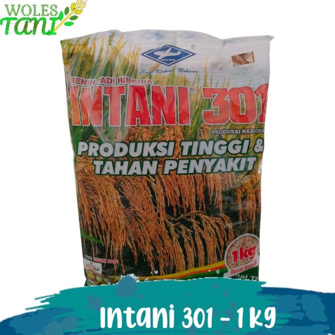 ------] Benih Padi Hibrida Intani 301 1 Kg