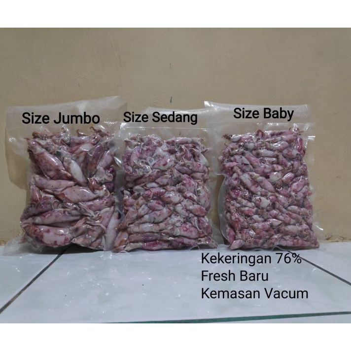 

YBMZ6818 TERMURAH Sotong / Cumi / Cumi Asin / Cumi Rebus 500 Gram Size Jumbo|Sedang|Baby