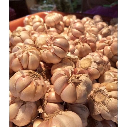 

VYWM6444 Stok terbaru bawang putih 1Kg / bawang / bawang putih murah/bawang murah/bawang /bawang putih