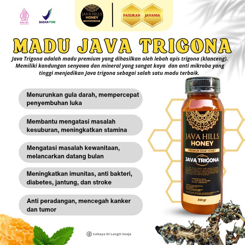 

Madu Java Trigona