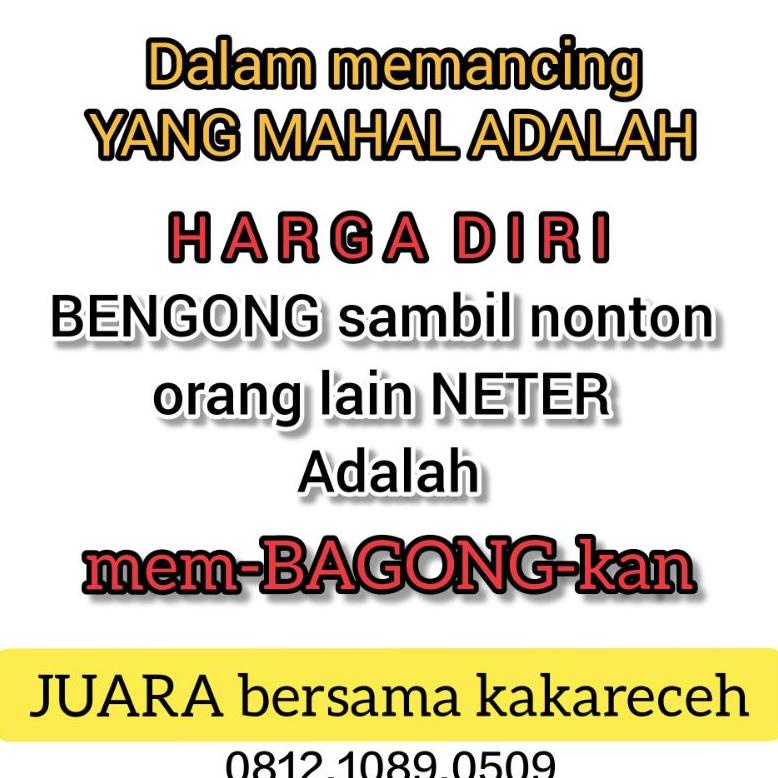 Viral Essen Ikan Mas Stroberry Sasparila Rame + Babon_Essen Ikan Mas_Essen Ikan Mas Original_Essen I