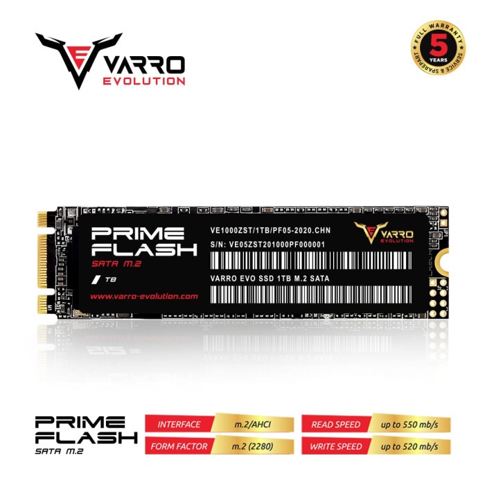 Ssd M.2 1Tb Varro