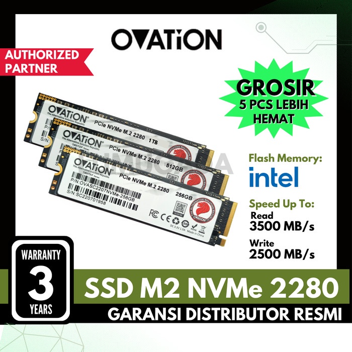 Ovation Ssd M2 Nvme 256Gb 512Gb 1Tb M.2 Pcie Nvme 2280 Pcie Gen3