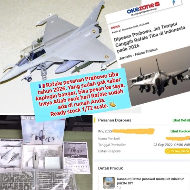 Dassault Rafale Pesawat Model Kit Miniatur Puzzle Diy