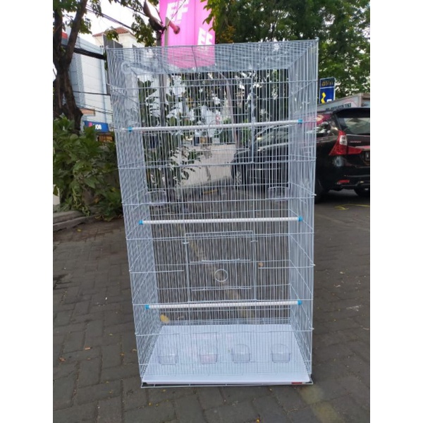 Kandang fox Phd16 / kandang umbaran / kandang fox / kandang burung jumbo / sangkar umbaran