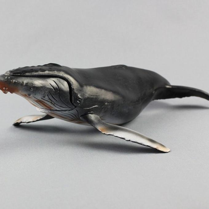 mainan ikan paus humpback whale