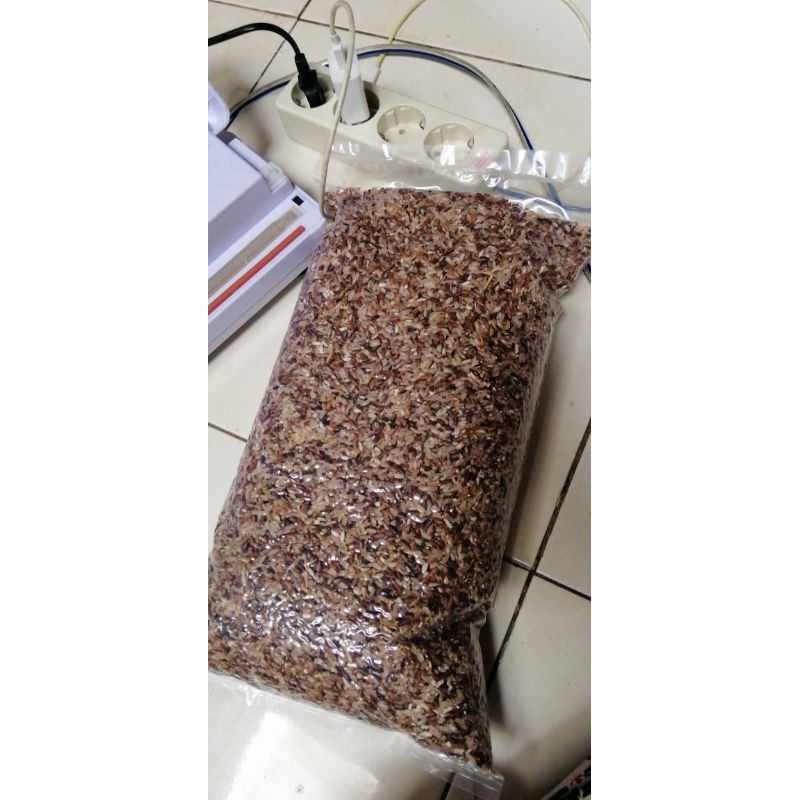 

Beras Merah Organik Kemasan 5 Kilogram