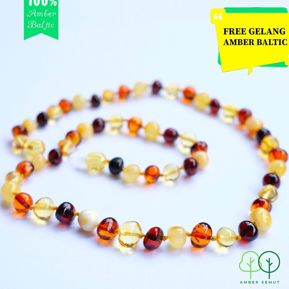 LJZUK PROMO TERMURAH - Kalung Kesehatan Amber Baltic Premium Dewasa by AMBER SEMUT mynwz