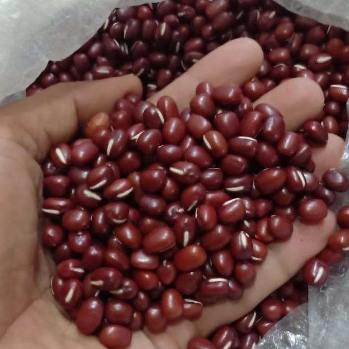 

[ SU Brand ] Kacang | Kedelai Merah Azuki Import RRC @ 10Kg / Karung