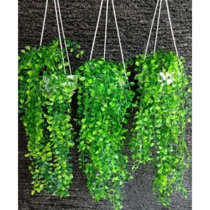 3 set pot gantung dan bunga juntai kemuning artificial plastik