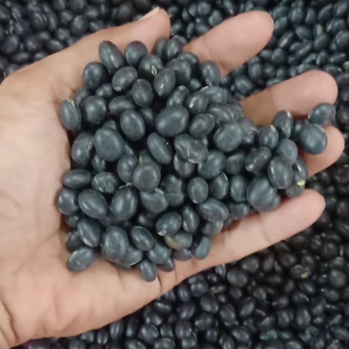 

Kacang Kedelai Hitam Import @ 10 Kg.