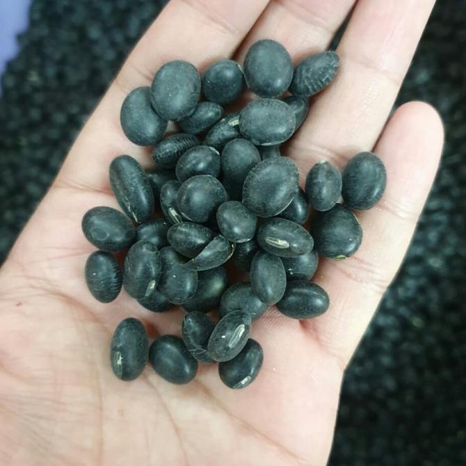 

Kacang Hitam Kering Super 1 Kilo / Black Turtle Beans Fresh Import