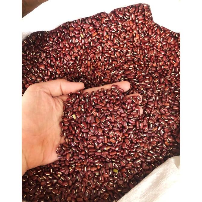 

Kacang Merah Kecil / Kacang Es Import 1 Kg