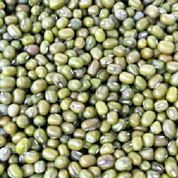 

Kacang Ijo Hijau super import [1 karung / 25Kg]