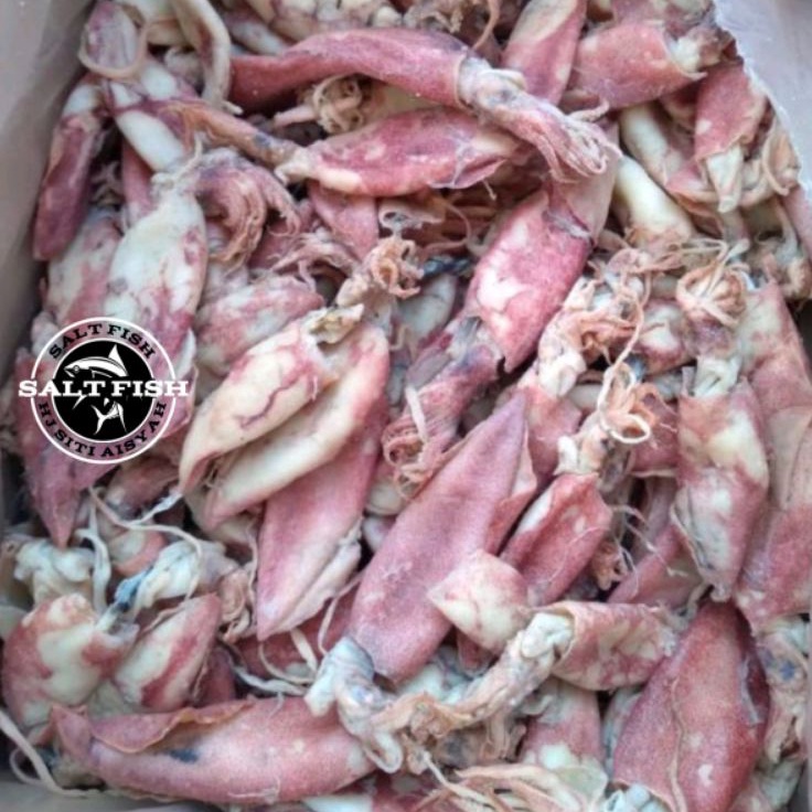 

RDTM6071 TEBUS MURAH CUMI ASIN KERING FRESH 1KG