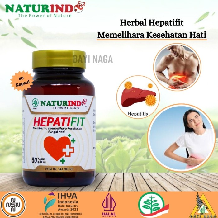 OBAT HERBAL HEPATIFIT ( SPESIAL LIVER)