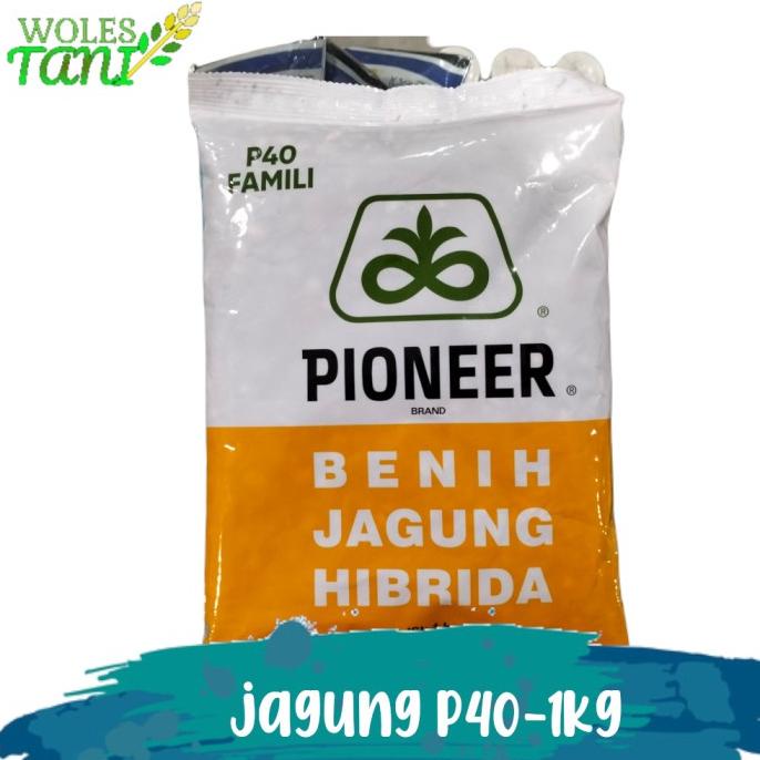 ~~~] Benih Jagung Hibrida P40 Family 1 Kg