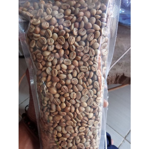 

green Bean wine robusta