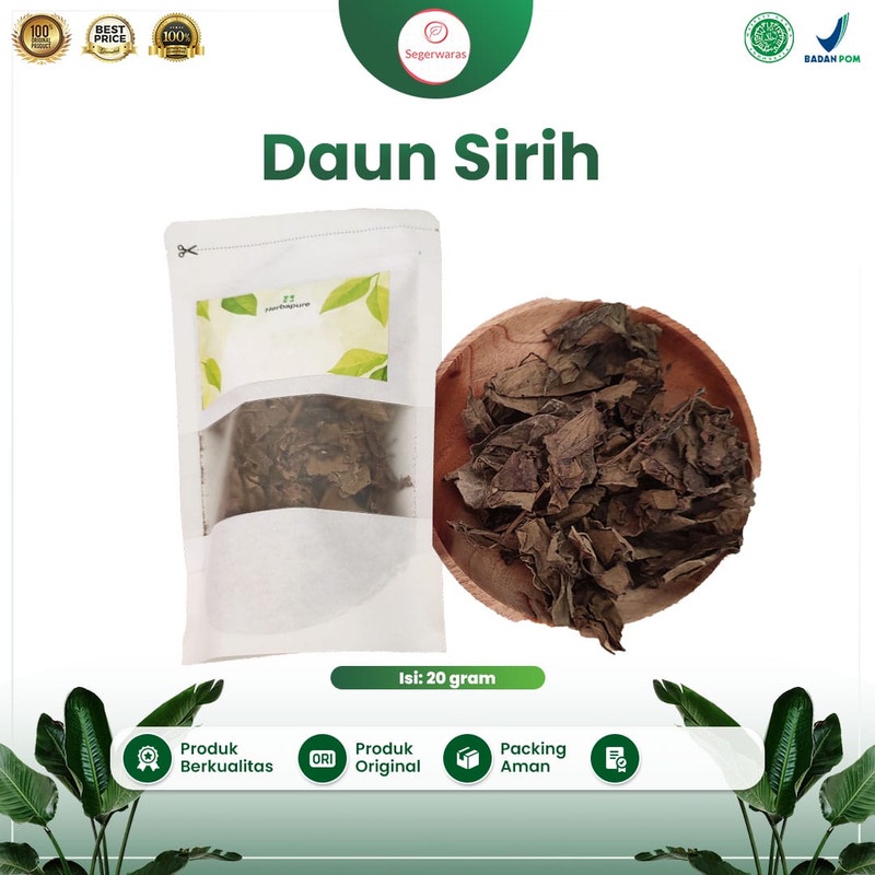 

☘️Segerwaras☘️ Daun sirih hijau kering 20 gram