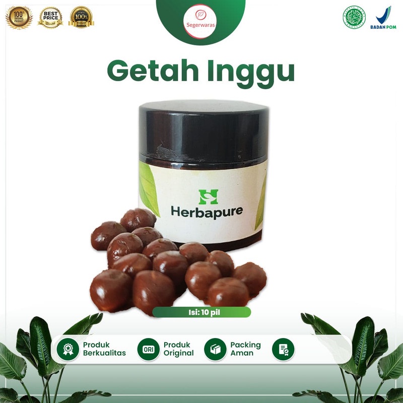 

☘️Segerwaras☘️ Pil Getah Inggu Asli Tanpa Campuran untuk Sakit Kepala Pusing,Migraine,Vertigo