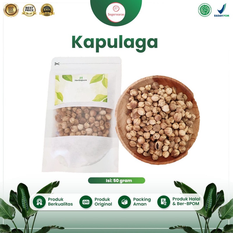 

☘️Segerwaras☘️ Kapulaga Jawa 50gr / Kapulaga Lokal / Cardamon