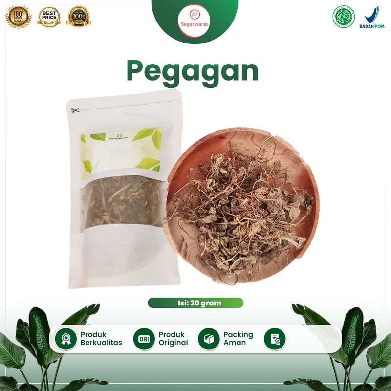 

☘️Segerwaras☘️ Daun Pegagan Kering Asli Menjaga Kesehatan Tubuh