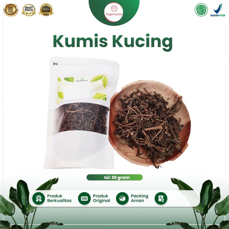 

☘️Segerwaras☘️ Daun Kumis Kucing Kering Asli