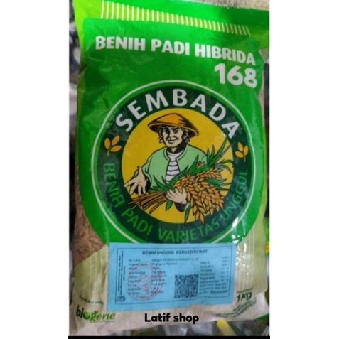 Bibit padi hibrida sembada 168 1kg Exp08022024