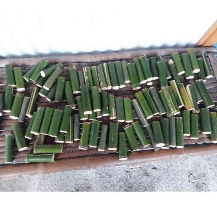 Ulat Bambu Isi10 Ulet Seger Ulat Bumbung Cangcilung Umpan Mancing Paka