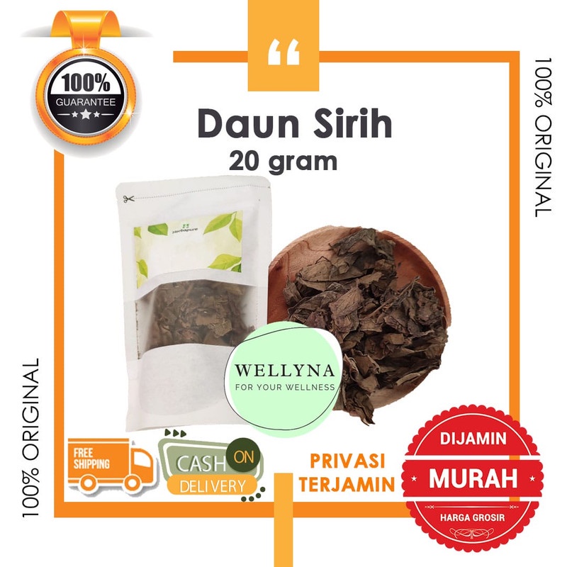 

☘️Wellyna☘️ Daun sirih hijau kering 20 gram