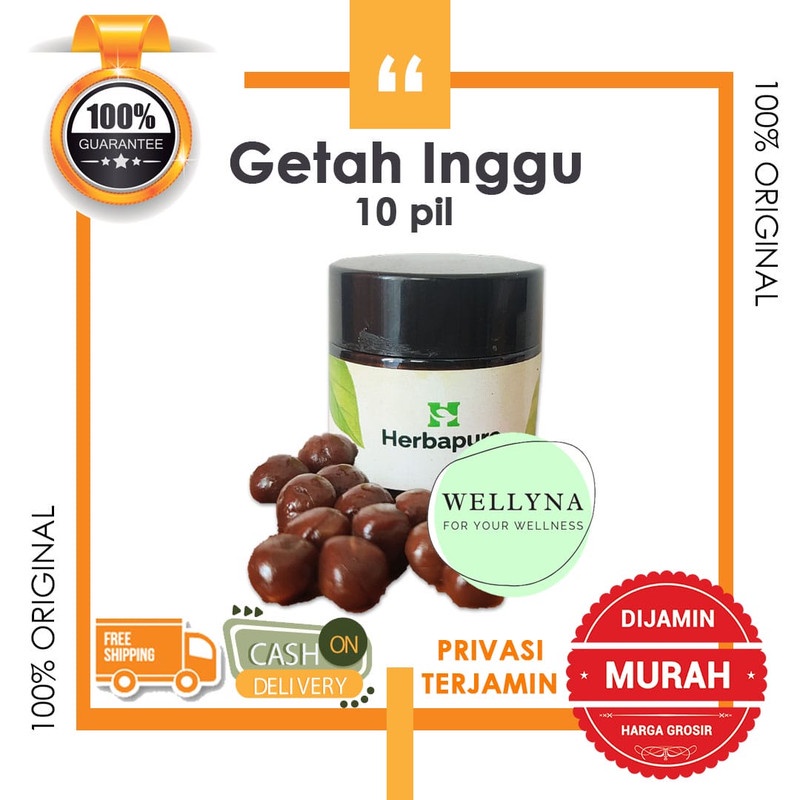

☘️Wellyna☘️ Pil Getah Inggu Asli Tanpa Campuran untuk Sakit Kepala Pusing,Migraine,Vertigo