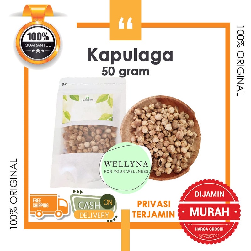 

☘️Wellyna☘️ Kapulaga Jawa 50gr / Kapulaga Lokal / Cardamon