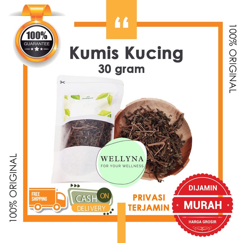 

☘️Wellyna☘️ Daun Kumis Kucing Kering Asli