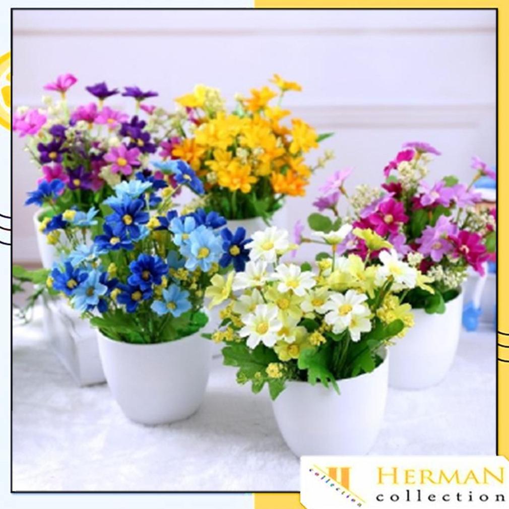 Promo Hc Ornamen Pot Tanaman Bunga Seruni Dekorasi Tanaman Hias Tanaman Plastik Pot Bunga Hias Bunga
