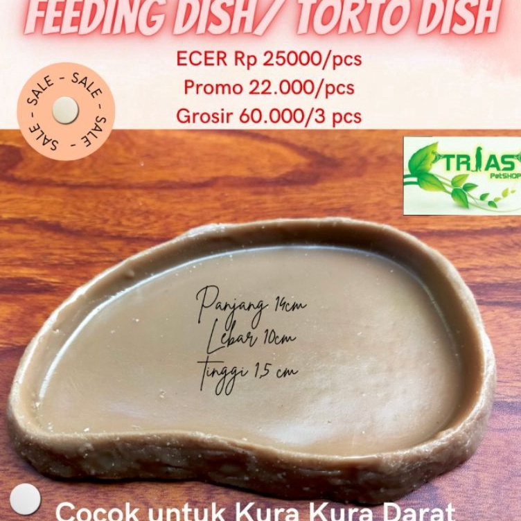 ✶Terbaru MURAH Torto dish/Tempat makan kura kura/feeding dish /tempat makan TORTO/tortoise/kura kura