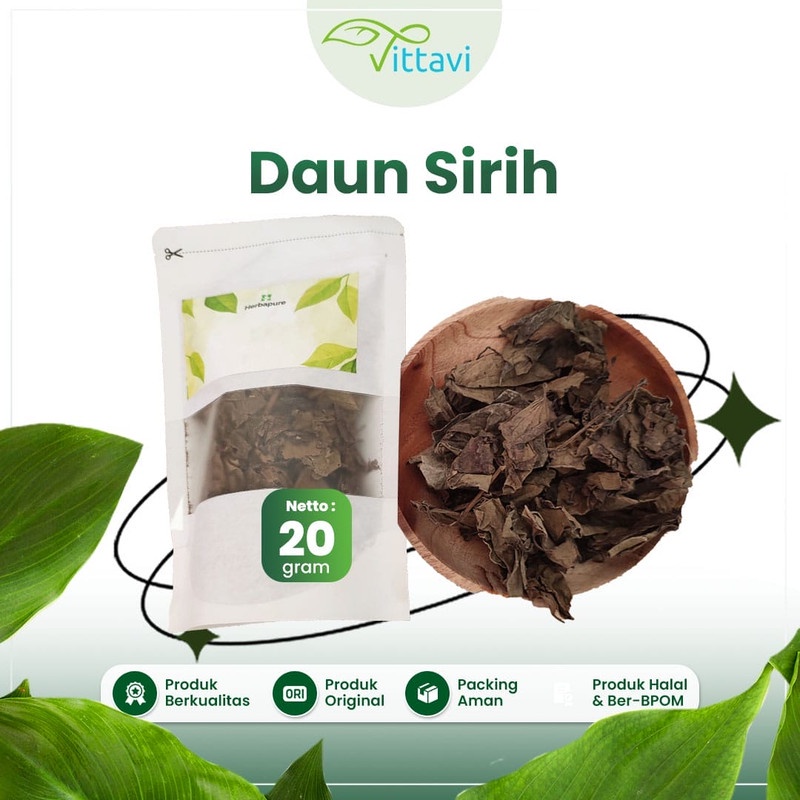 

☘️Vittavi☘️ Daun sirih hijau kering 20 gram