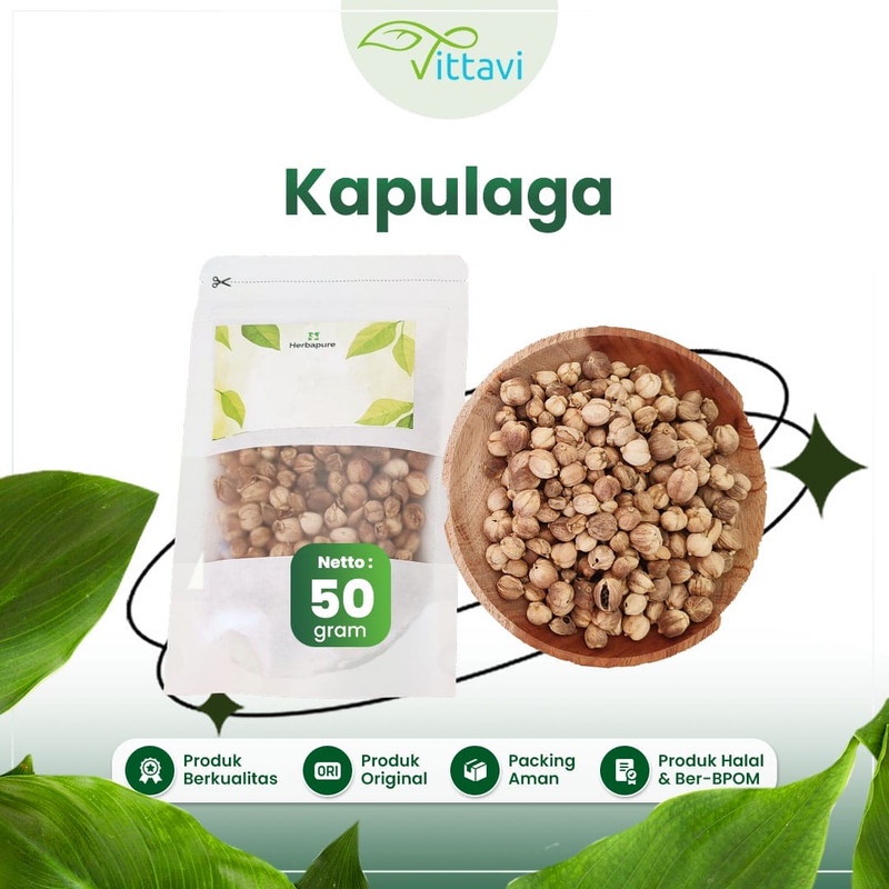 

☘️Vittavi☘️ Kapulaga Jawa 50gr / Kapulaga Lokal / Cardamon