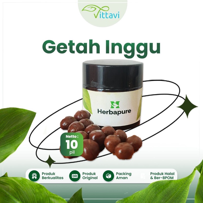 ☘️Vittavi☘️ Pil Getah Inggu Asli Tanpa Campuran untuk Sakit Kepala Pusing,Migraine,Vertigo