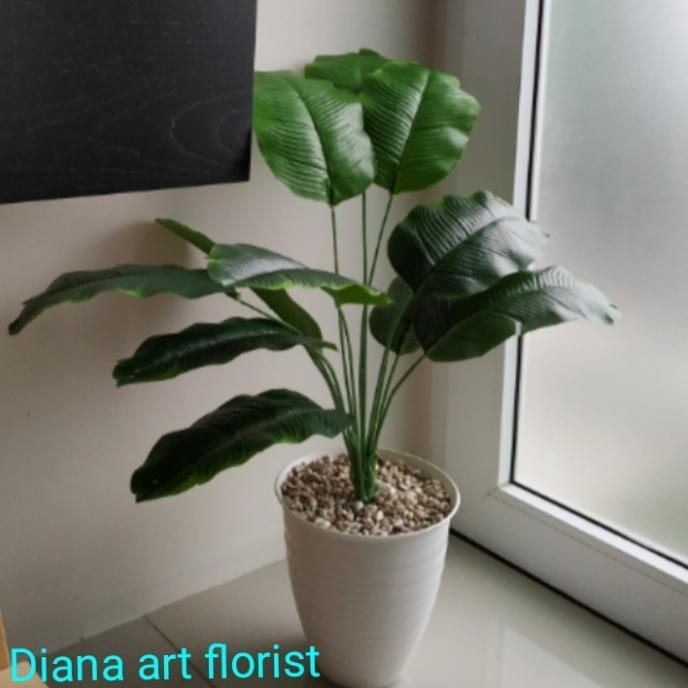 pohon hias#pohon pisang hias#pisang tiruan/tanaman artificial