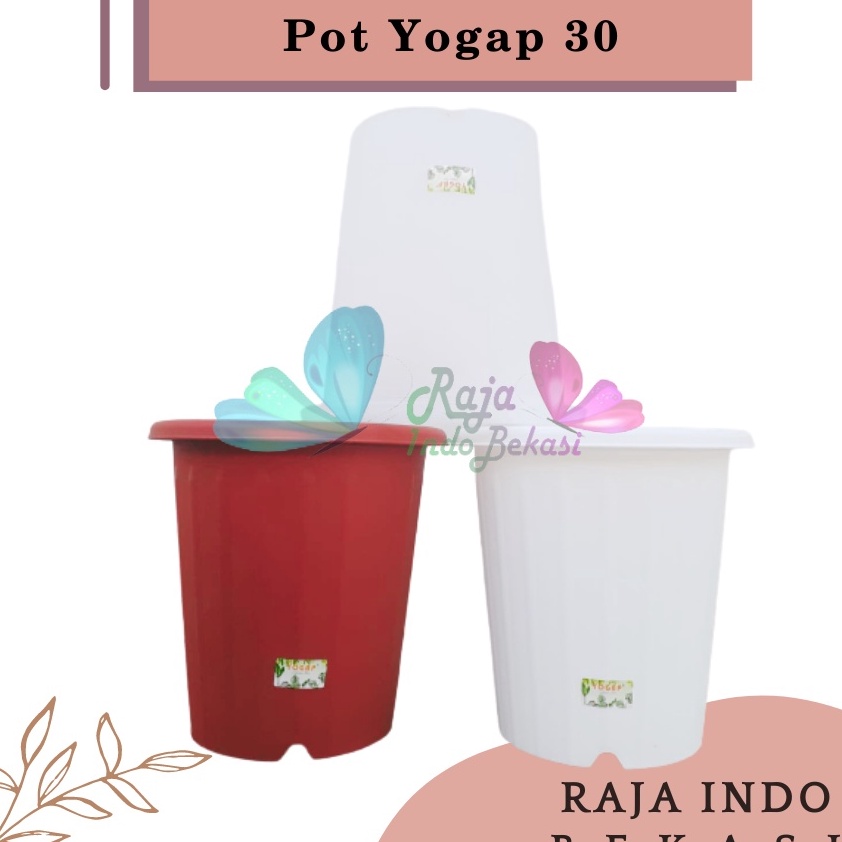 Ready Stock Pot Yogap 30 Putih Transparan Bening Merah Bata Grosir Pot Yogap Yoga 30 Murah - Yogap 3