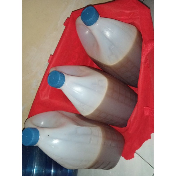 

Madu Hutan Lebah Liar Asli dari Hutan